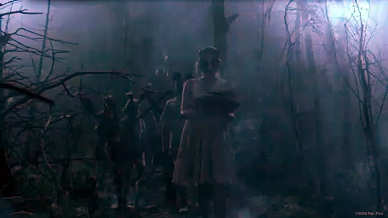 FRIEDHOF DER KUSCHELTIERE  (2019)