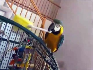 How Clean is Your House - Beauty Queen Clean