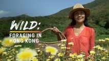 Picking Wild Plants and Eating Them in Hong Kong’s Countryside