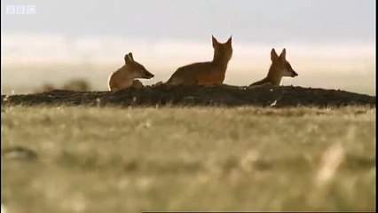 ヨ 온라인바카라사이트 안전한놀이터⊆⊆ＭＳＴ272、C O M⊇⊇라이브카지노 ロ정찬헌에게 넘겨주었ロ