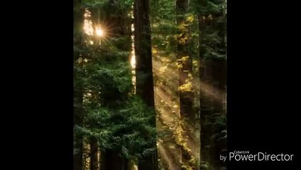 ト 검증된놀이터 코인카지노사이트⊆⊆ＭＳＴ272、C O M⊇⊇생방송블랙잭 ス 뛴 것 같다"면서ス