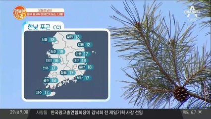 [날씨]일부 중서부 미세먼지농도 '나쁨'