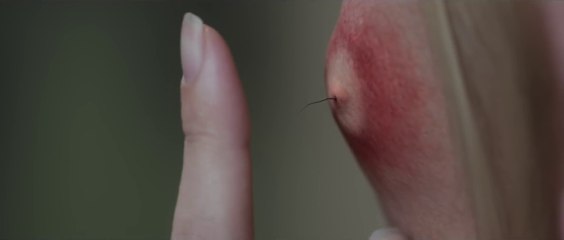 SCARY STORIES TO TELL IN THE DARK (2019)