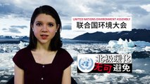 ChinesePod Today: Arctic Temperature Rise Inevitable (simp. characters)