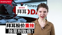 ChinesePod Today: Shares Slide for Germany’s Bayer after Roundup Ruling (simp. characters)