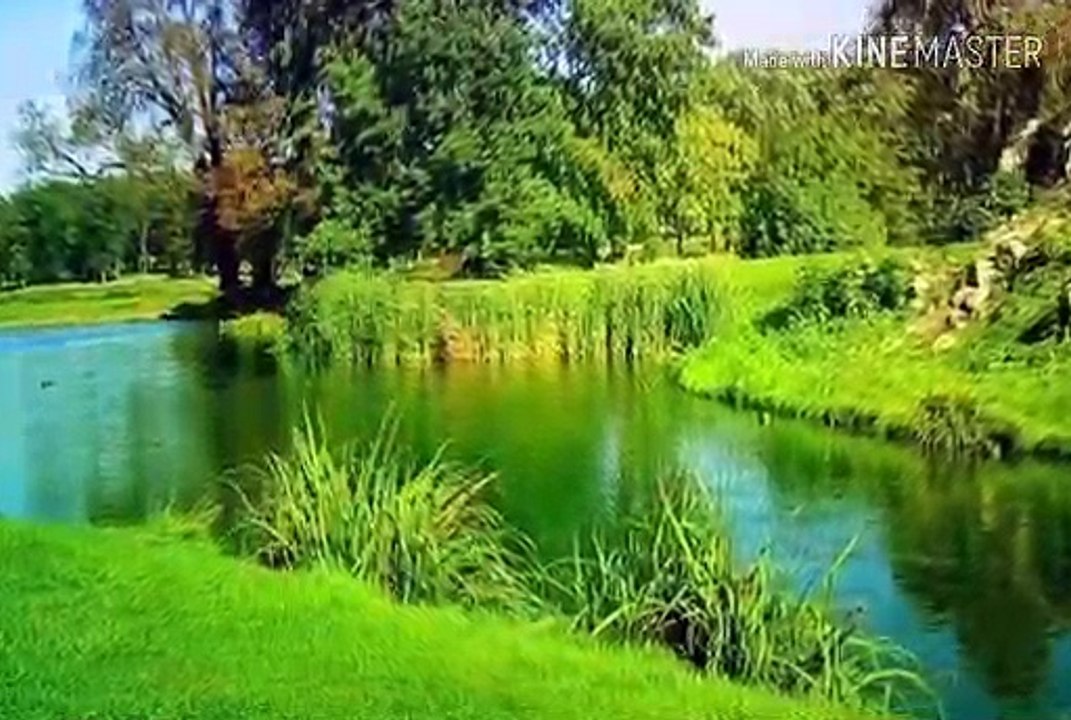 होंसला जो गिरने न दे:An inspirational story