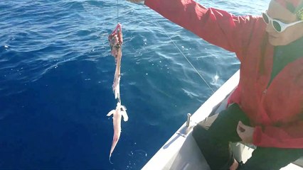 BALIK AVINDA ASAGIDA OLANLAR AVCILARI HAYRETE DUSURUYOR - www.adrasanbalik.com