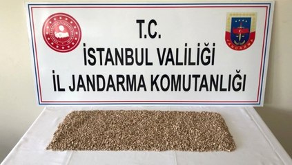 İstanbul'da Jandarmadan Uyuşturucu Operasyonu