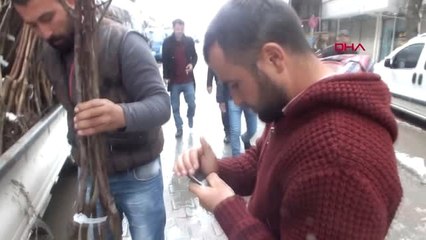 Kars Coğrafi İşaretli Uzun Elma Fidanına Yoğun İlgi