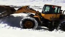 Başkale’de kar kalınlığının 2 metreyi bulduğu mahalle yolları açılıyor