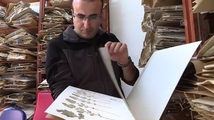 Yeni bitki türü bulundu - İZMİR