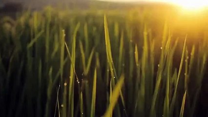 マ 바둑이게임 코인카지노사이트⊆⊆ＭＳＴ272、C O M⊇⊇온라인카지노주소추천 ト서도 강렬한 모습이ト