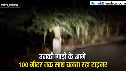 Video: जब अधिकारियों का टाइगर से हुआ सामना