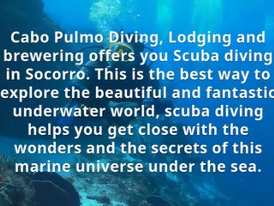 Socorro diving - Cabo Pulmo Diving, Lodging and brewering