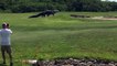 Un alligator géant est venu perturber une partie sur le golf de de Savannah Harbor