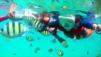 Andaman Trip