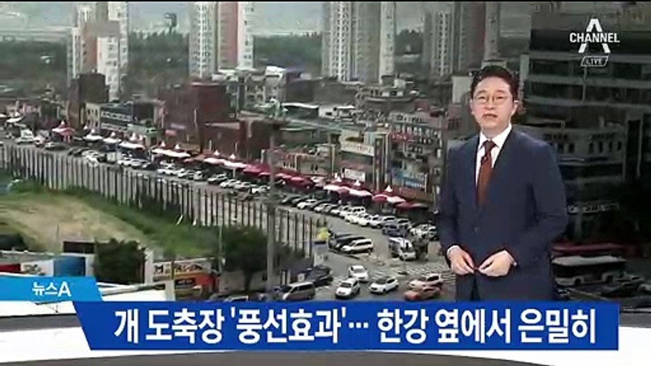영업 금지되자 지역 이동…불법 개 도축 ‘적발’