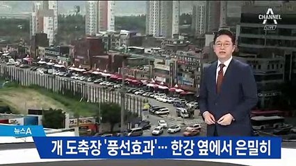 영업 금지되자 지역 이동…불법 개 도축 ‘적발’