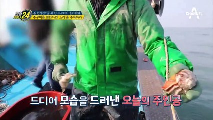 본격 쭈꾸미 잡이에 돌입! 소라를 주목?! 달인의 숨겨진 비법은?