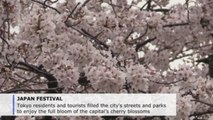 Tokyo residents, tourists flock to celebrate cherry blossom season