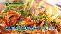 빨간 맛의 유혹! '쭈꾸미 쳘판볶음'의 달인을 만나다! (feat. 먹통)