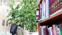 Bu kütüphane 51 yıl önce dikilen limon ağacı sayesinde limon kokuyor