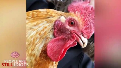 PEOPLE GETTING SCARED COMPILATION 3___