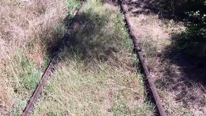 Traveling Train
