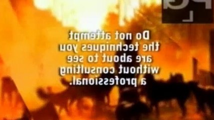 Dog Whisperer S04E32 100th E. celebration