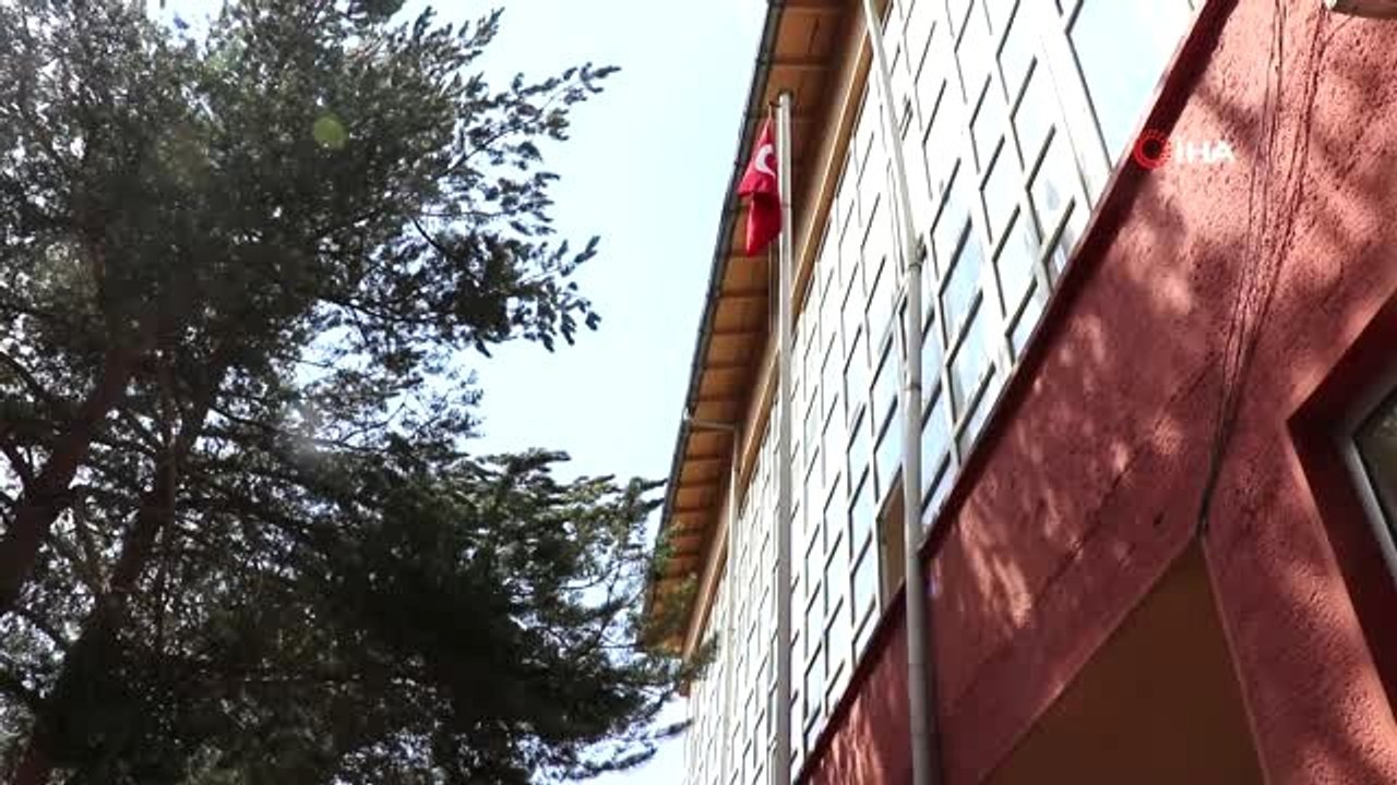 Bu Kütüphane 51 Yıl Önce Dikilen Limon Ağacı Sa...