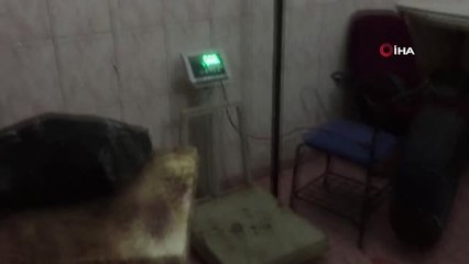 Mersin'de 1 Ton Kaçak Kesilmiş Tavuk Eti Ele Geçirildi