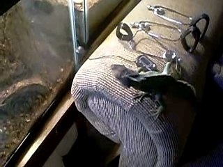 One eating...Phransis going crazy