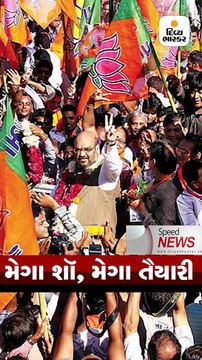 સ્પીડ ન્યુઝઃ હાર્દિક પટેલ લોકસભા ચૂંટણી નહીં લડી શકે