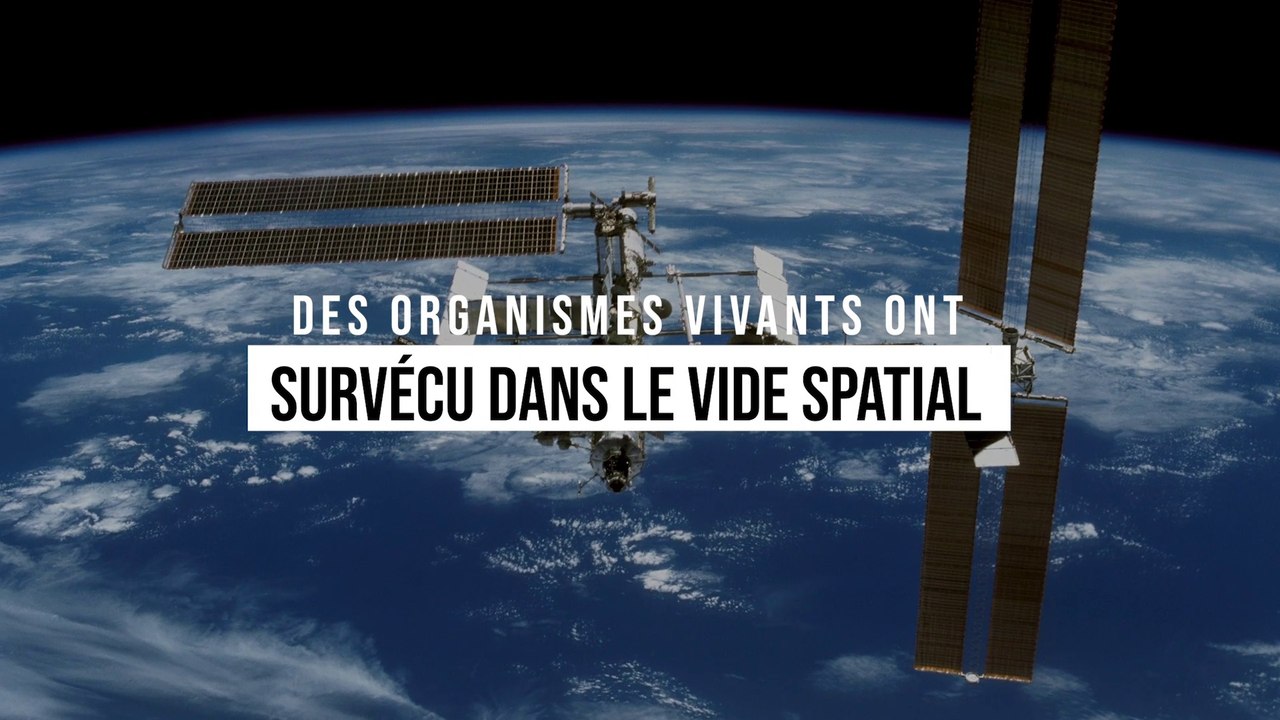 Plusieurs organismes terrestres ont survécu 18 mois au vide spatial