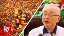 Wee Ka Siong raises concerns over nation’s palm oil industry
