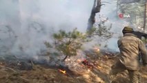 Bolu'da 4 Hektar Ormanlık Alan Alev Alev Yandı