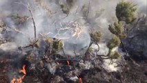 Report Tv - Zjarr në Parkun Kombëtar të Qafshtamës, dyshohet i qëllimshëm