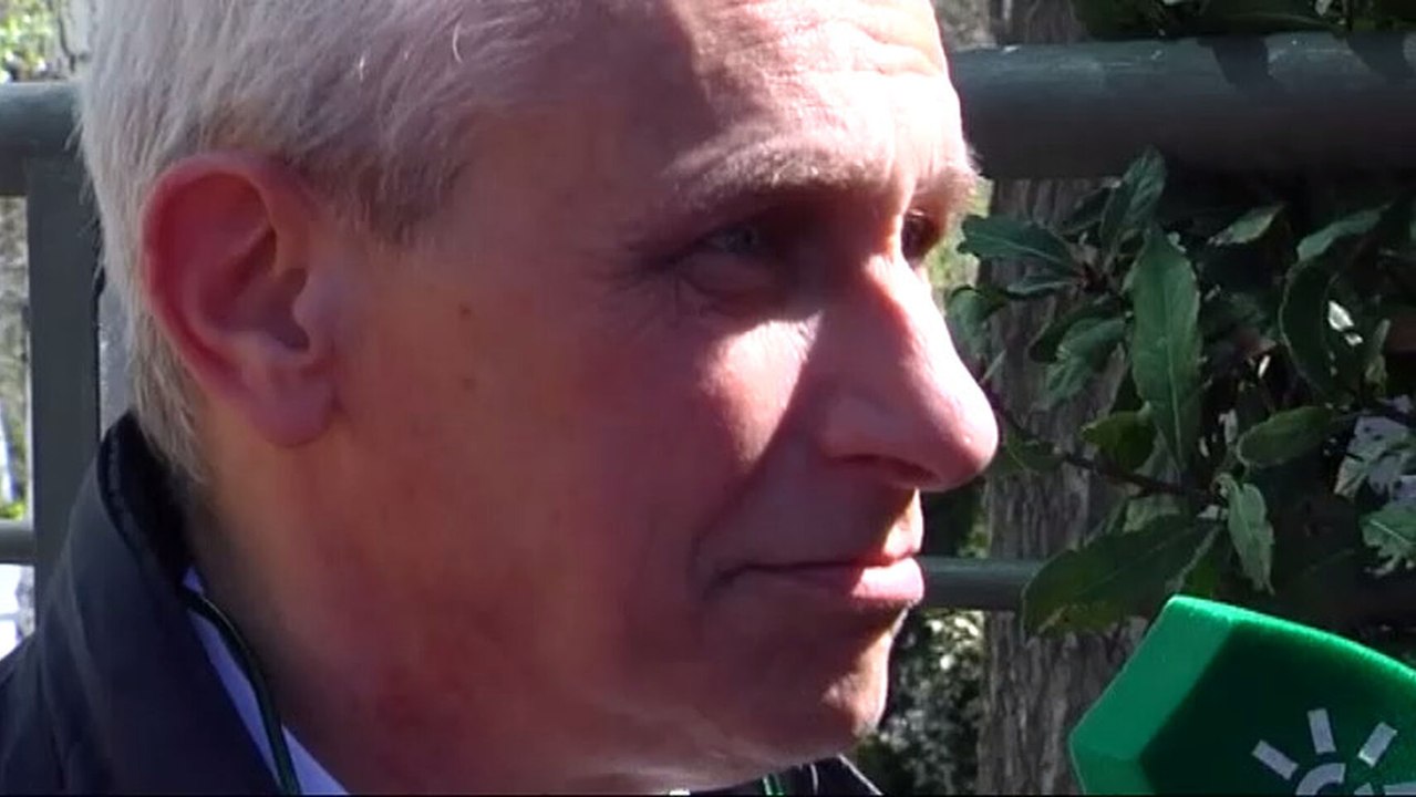 Carlos Garcia Pons, vicepresidente del Espanyol