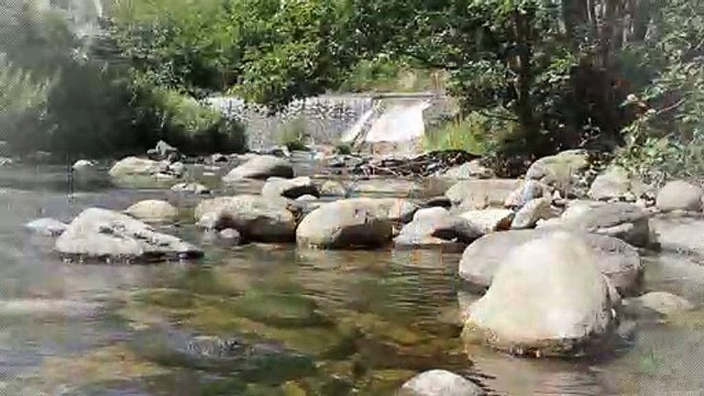 A vendre - Appartement - PARIS (75015) - 3 pièces - 55m²