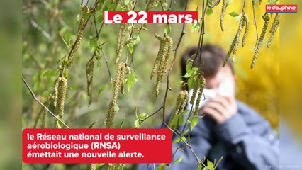 Le retour du printemps... et des allergies