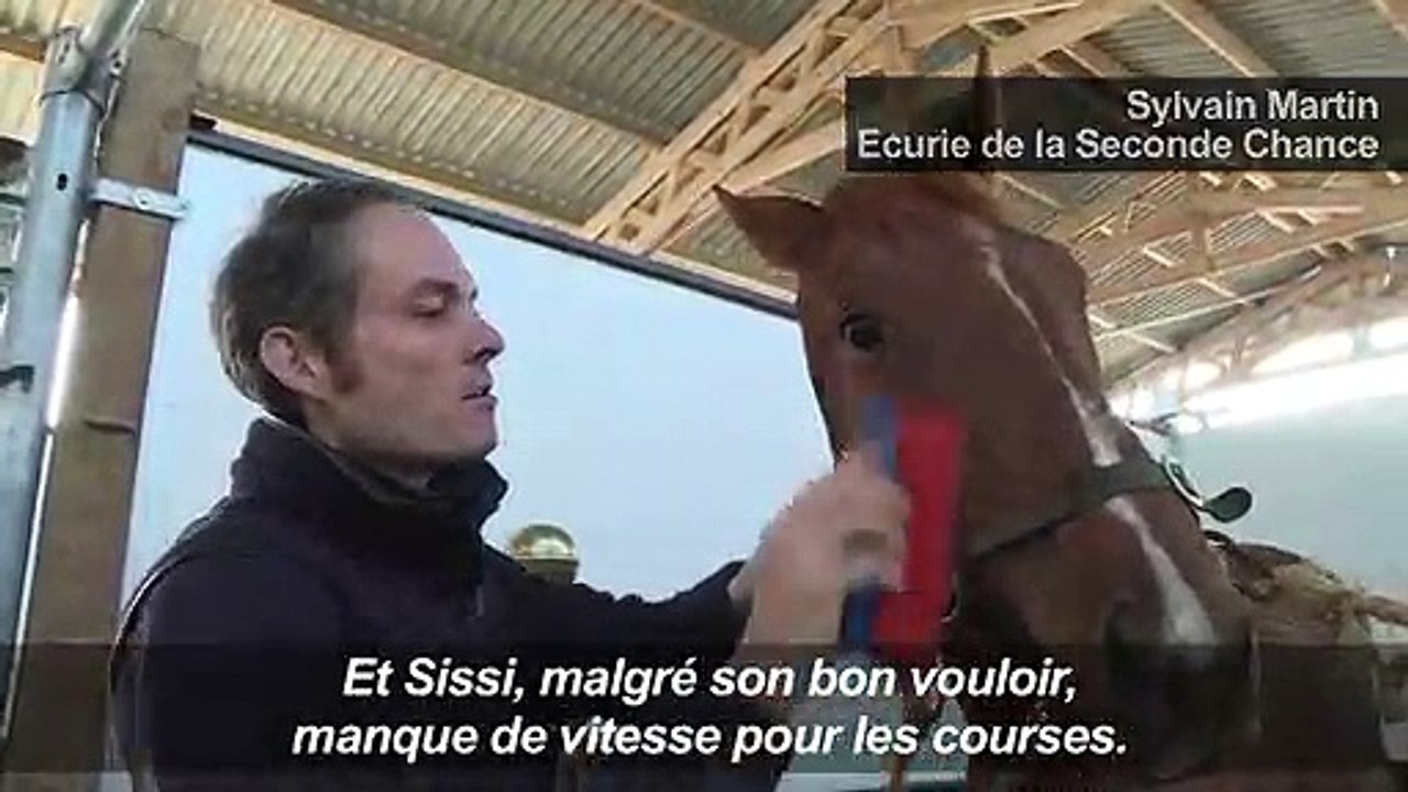 A Combrée, un nouveau départ pour les anciens chevaux de course