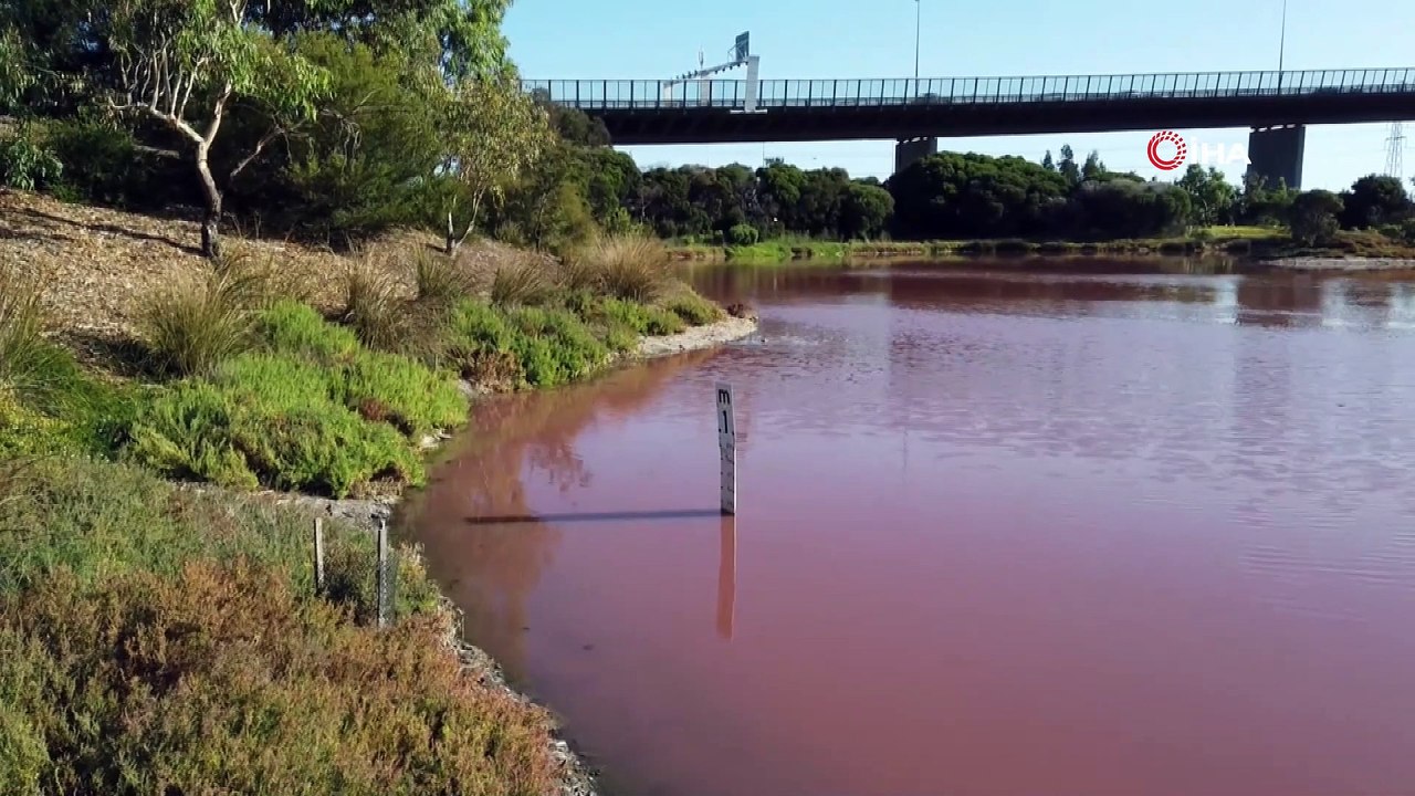 - Avustralya'da Bir Göl Pembe Renge Büründü- Pembe Göl Ziyaretçi Akınına Uğruyor