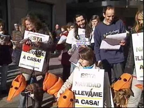 Perros disfrazados de langostinos en la madrileña Puerta del Sol