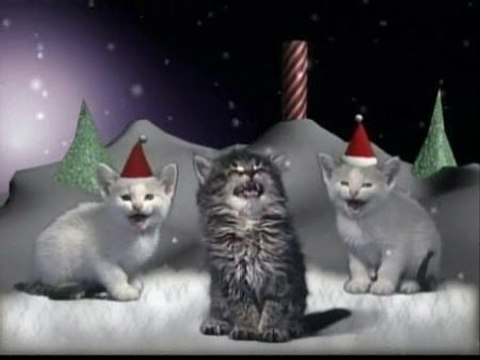 Perros y gatos ante la Navidad