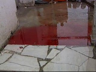 Un recluso que estaba de permiso asesina a su pareja y hiere a dos vecinos