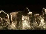 El equipo de natación sincronizada protagoniza el anuncio de Freixenet 2008