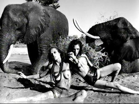 El calendario Pirelli 2009, más salvaje que nunca