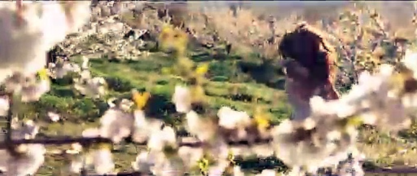 Lady of the Damned Forest - International Teaser/Trailer #2 | HD