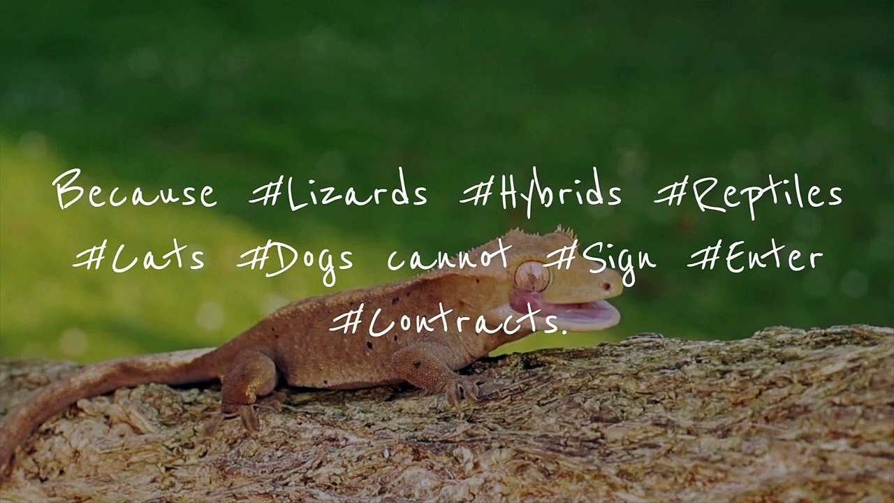 Oh Dear G-d Pls Tell Us She is Not a Lizard Queen