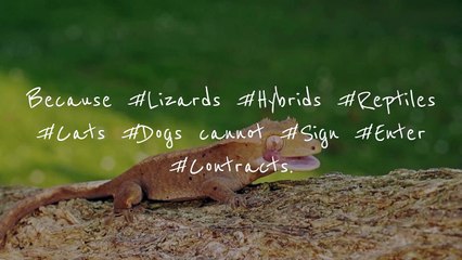 Oh Dear G-d Pls Tell Us She is Not a Lizard Queen